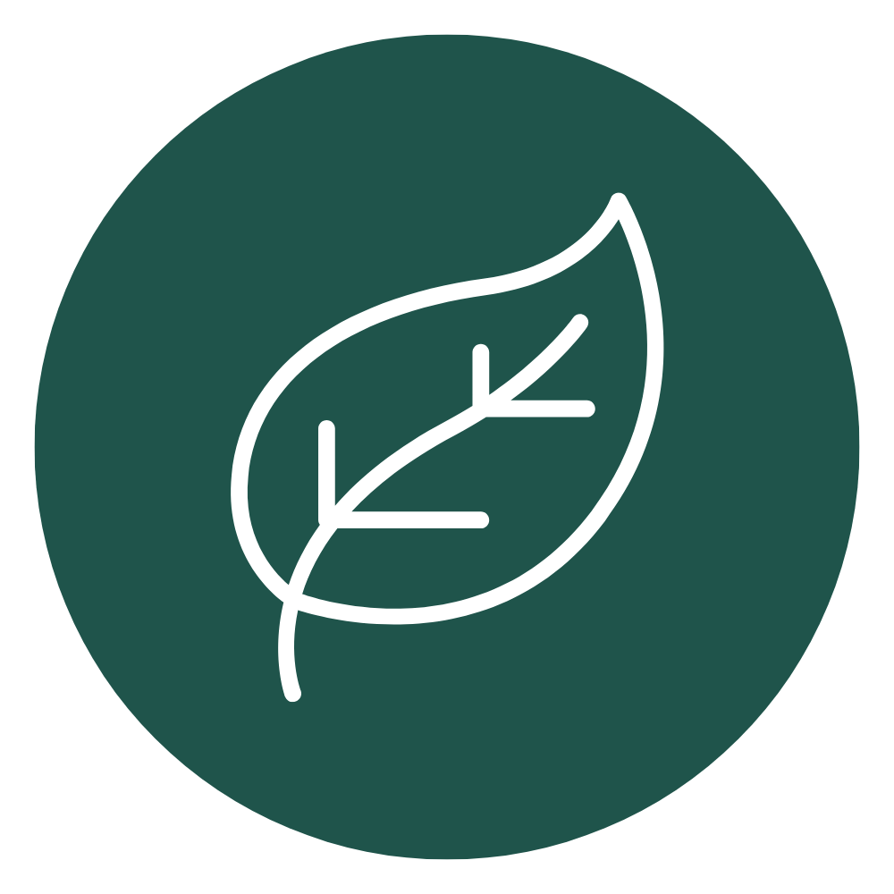 Clean Ingredients Without Artificial Add-Ons
